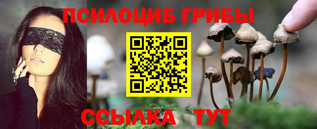 Якутск  Псилоцибиновые грибы ЛСД  Вход с VPN  Псилоцибиновые грибы Magic Shrooms 